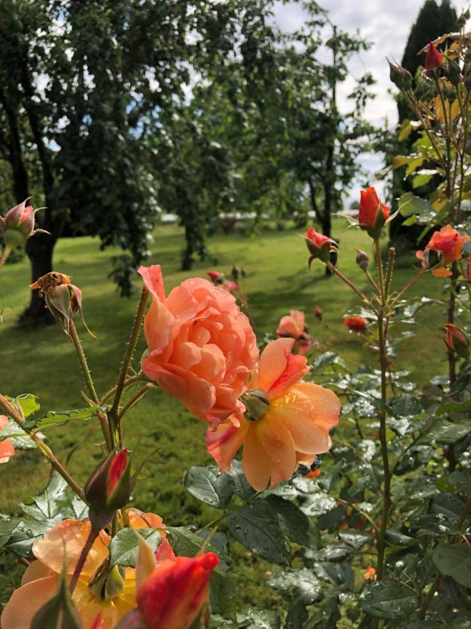 Wohlfuehlhotel Sonnengarten Иберлинген Экстерьер фото